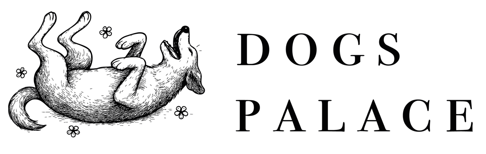 Hondentrimsalon Nijmegen | Dogs Palace